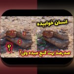 آشنایی با سایت هات بت بدون فیلتر: چرا این سایت برای کاربران ایرانی اهمیت دارد؟