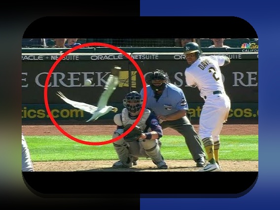 لحظات تاریخی ورزش غیرمنتظره: راهنمایی برای درک بهتر این رویدادها در %sitename%